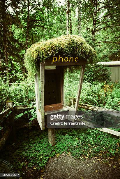 Mossy Phone Booth