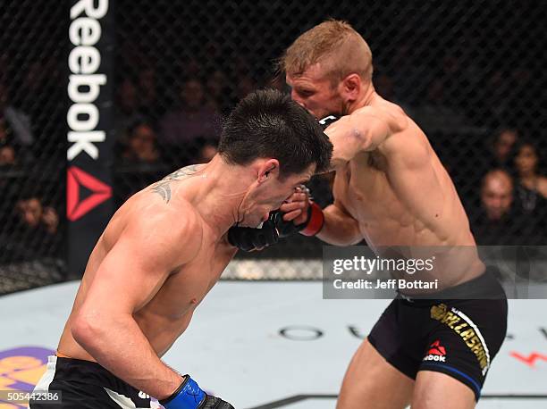 Dillashaw punches Dominick Cruz in their UFC bantamweight championship bout during the UFC Fight Night event inside TD Garden on January 17, 2016 in...