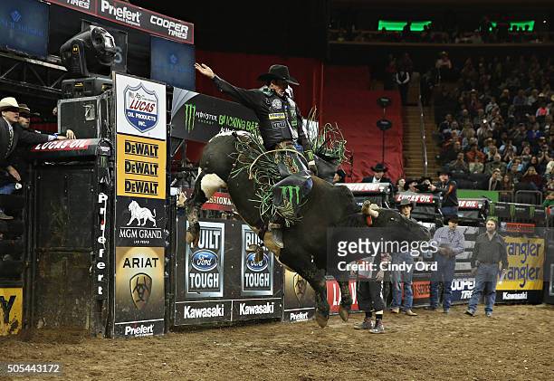 World Champion J.B. Mauney rides during PBR's 10th Anniversary Monster Energy Buck Off at the Garden at Madison Square Garden on January 17, 2016 in...