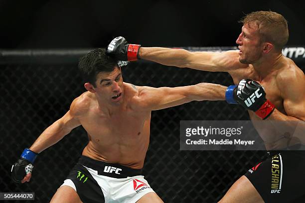 Dominick Cruz fights T.J. Dillashaw in their bantamweight bout during UFC Fight Night 81 at TD Banknorth Garden on January 17, 2016 in Boston,...