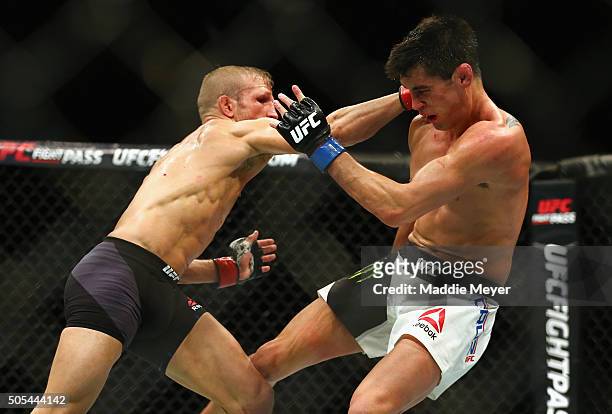 Dillashaw punches Dominick Cruz in their bantamweight bout during UFC Fight Night 81 at TD Banknorth Garden on January 17, 2016 in Boston,...