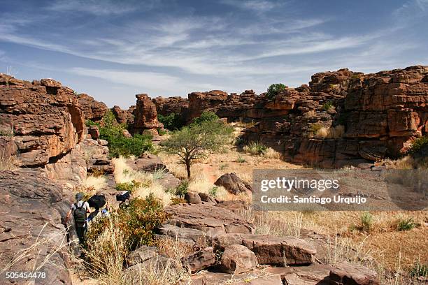 tourists hiking through a canyon in bandiagara escarpment - dogon stock pictures, royalty-free photos & images