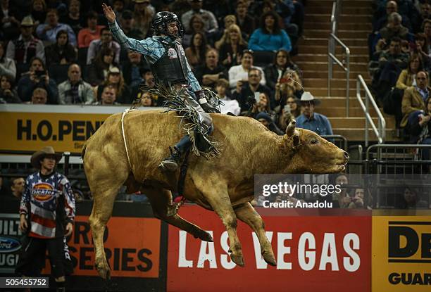 New Bull Riders 208 Professional Bull Riders Top 10 Bull Riders Competition Stock ...