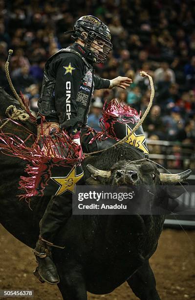 New Bull Riders 208 Professional Bull Riders Top 10 Bull Riders Competition Stock ...