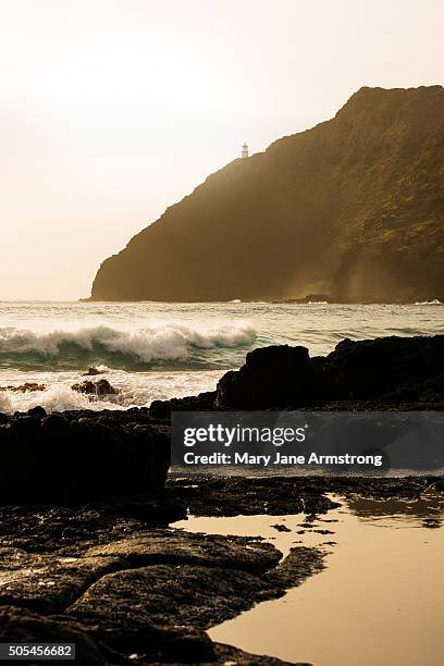 makapuu point at dawn - tidal pool stock pictures, royalty-free photos & images
