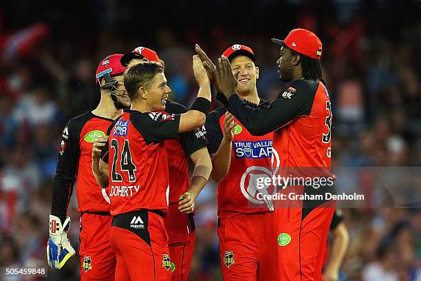 Chris Gayle of the Renegades celebrates with teammate Xavier Doherty after taking a catch to dismiss Tim Ludeman of the Strikers from the bowling of...