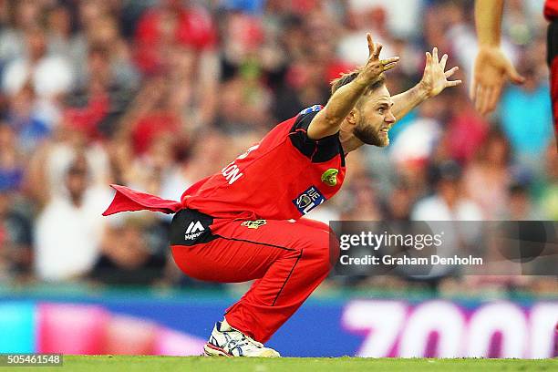 Russell Rimmington 491 Nathan Rimmington Photos & High Res Pictures - Getty Images