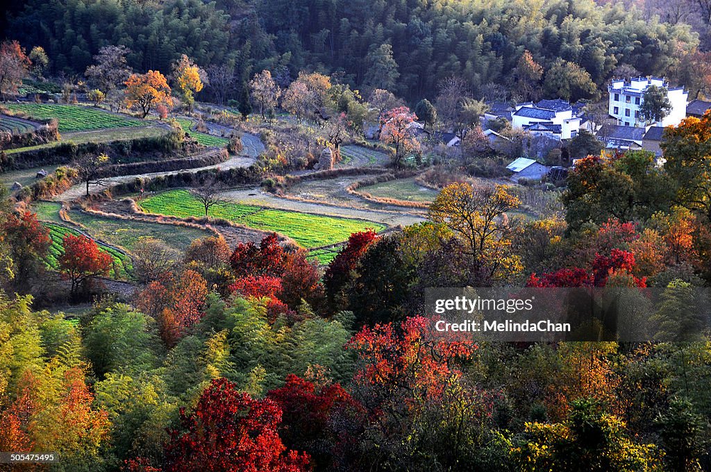 Autumn view of Chinese village