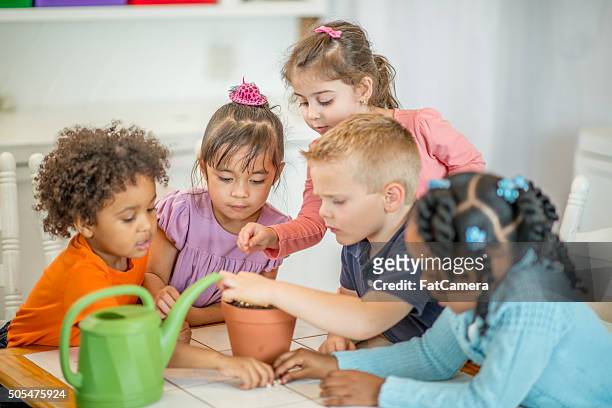 planting seeds in dirt - inclusive classroom stock pictures, royalty-free photos & images