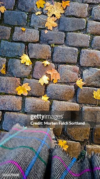 leaves at my feet - akershus festning stock pictures, royalty-free photos & images
