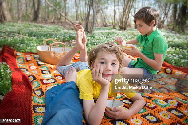picnic in the forest - allongé sur le devant photos et images de collection