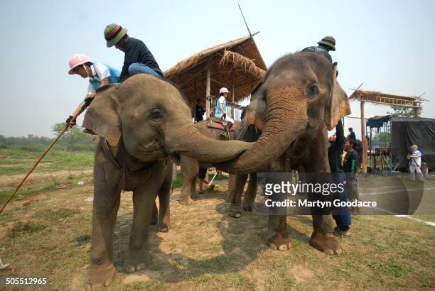 Competitors in the King's Cup Elephant Polo tournament at Chiang Rai in northern Thailand, 2010.