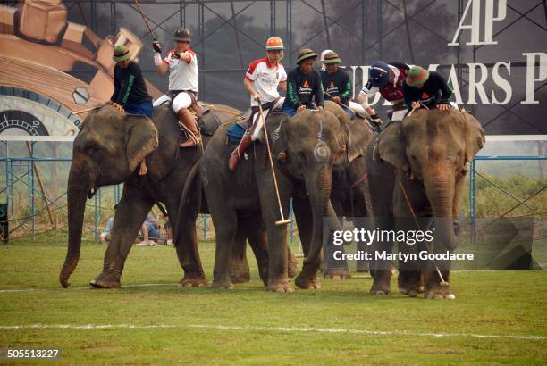 Competitors in the King's Cup Elephant Polo tournament at Chiang Rai in northern Thailand, 2010.