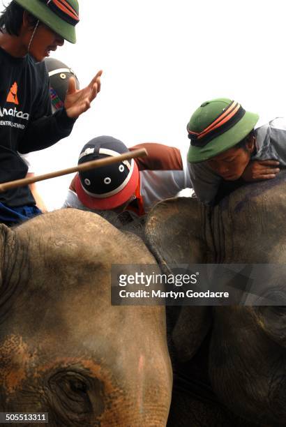 Competitors in the King's Cup Elephant Polo tournament at Chiang Rai in northern Thailand, 2010.