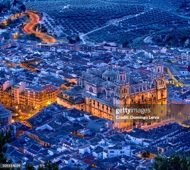 jaen cathedral, spain - jaén city stock pictures, royalty-free photos & images