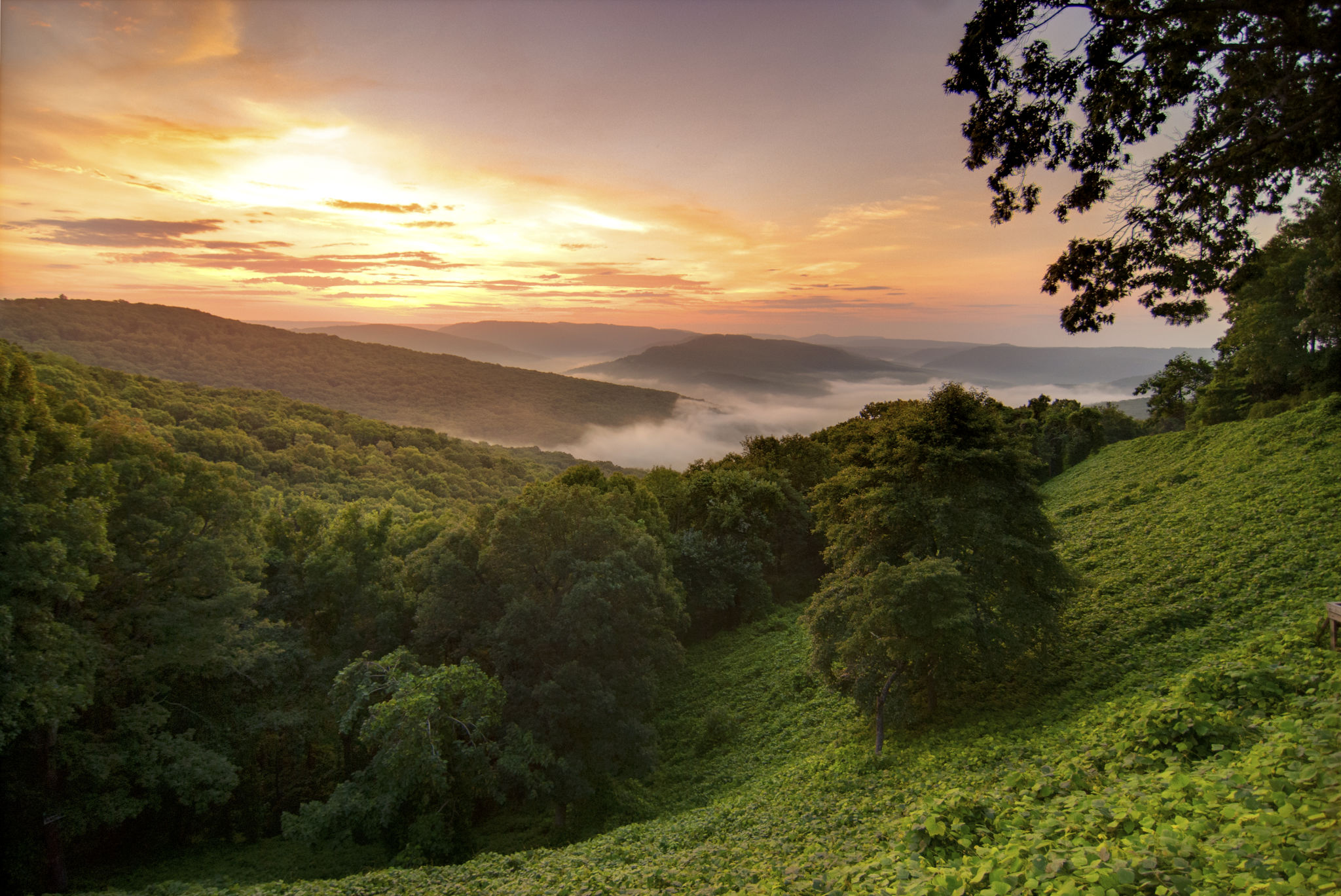 arkansas nature