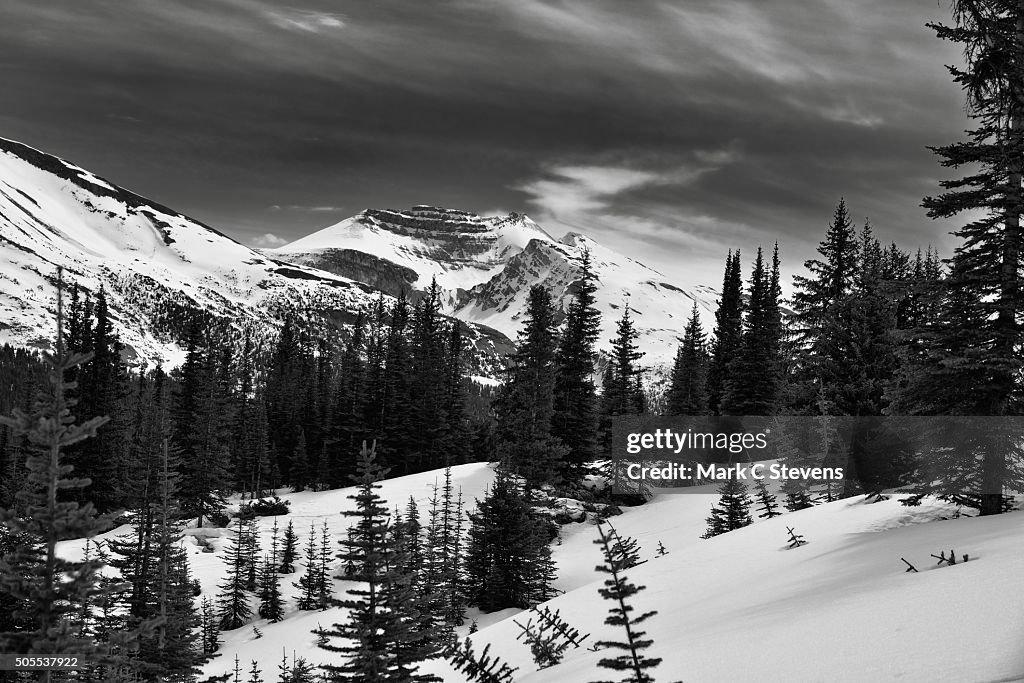 A Wintry Landscape of a View to Cirque Peak and Mountain Peaks of the Murchison Group (Black & White)