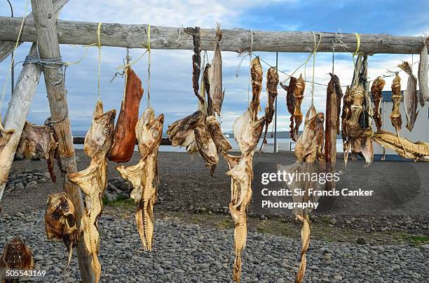 Icelandic Dry Fish 16 Bamboo Iceland Stock Photos, High-Res Pictures, and Images - Getty ...