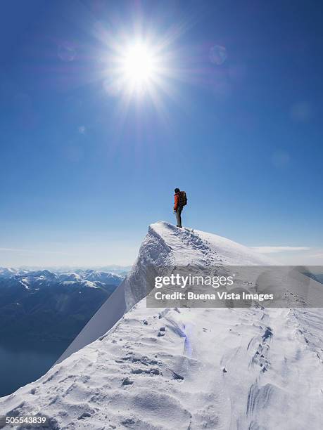 lone climber on the top of a  mountain - bergspets bildbanksfoton och bilder