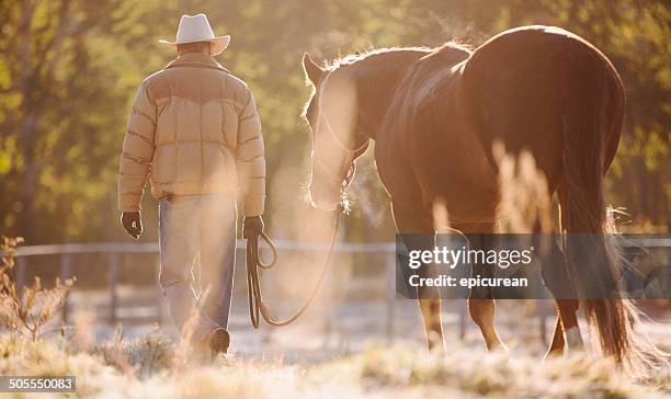 rearview de hombre a caballo a través del campo con cable metálico - cabestro fotografías e imágenes de stock