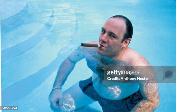 American actor James Gandolfini, as Tony Soprano, smokes a cigar while he stands in pool, in publicity still for the HBO cable TV series 'The...