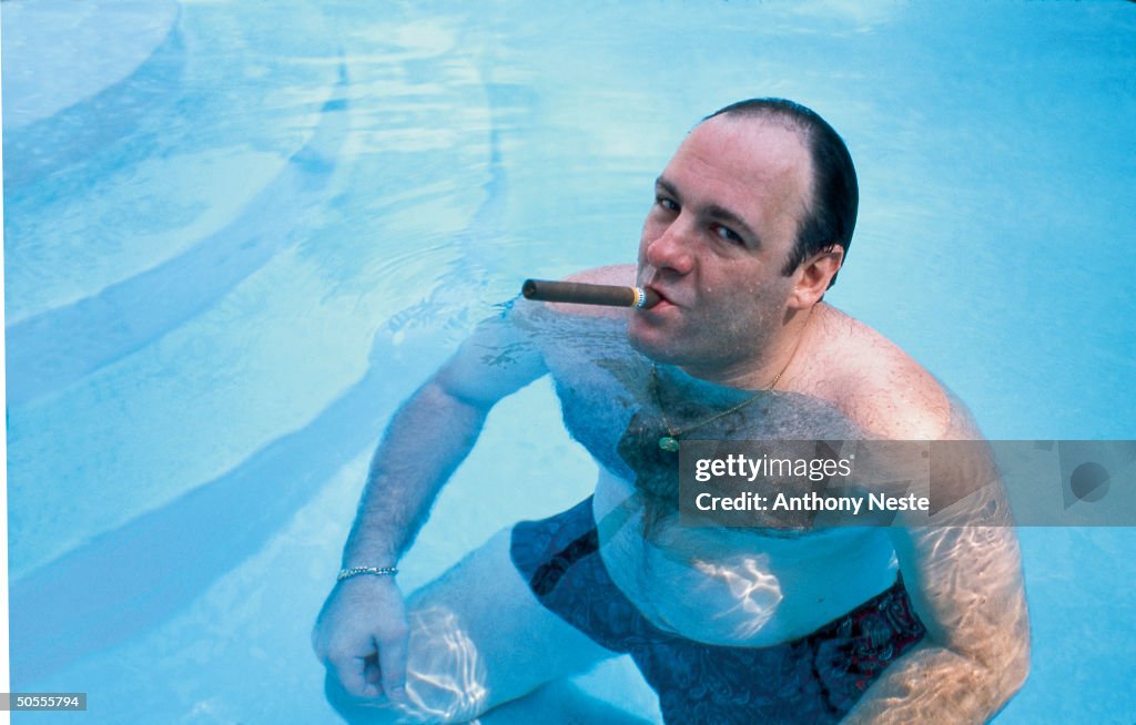 James Gandolfini