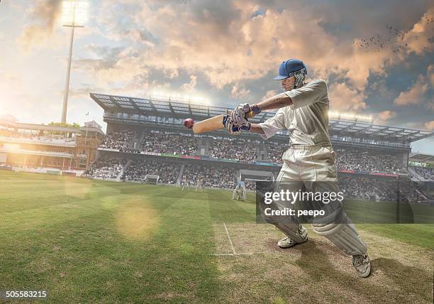 batteur de cricket - cricket field photos et images de collection