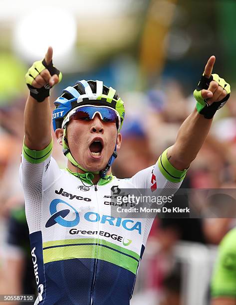 Australian cyclist Caleb Ewan of Orica GreenEDGE celebrates after winning stage 1 of the 2016 Tour Down Under from Prospect to Lyndoch on January 19,...