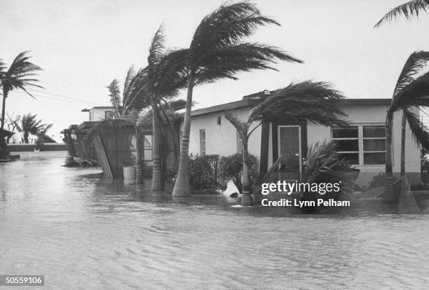 Hurricane Donna hits Florida.