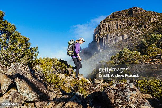 a woman hiking the trail to mount king william i - tasmania landscape stock-fotos und bilder