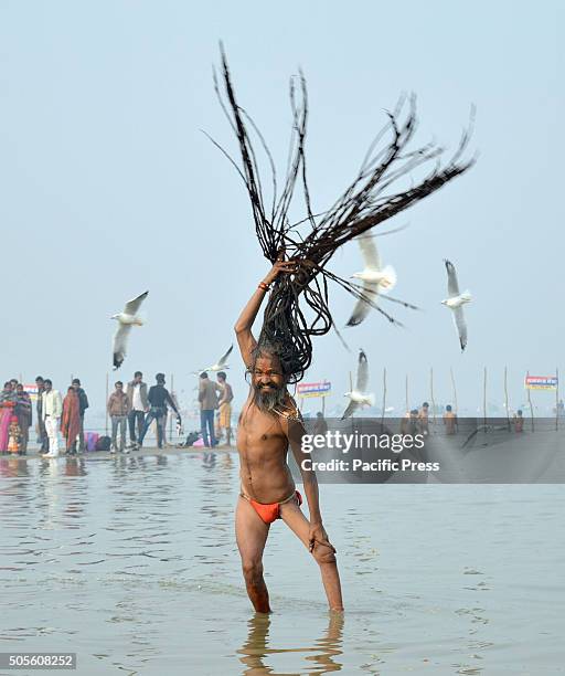 Sadhu pulls up his hair as he takes holy dip during the Magh Mela. Hindu devotees gather to bath in the Sangam river confluence during Panchami Magh...