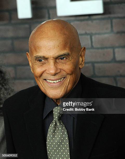 Harry Belafonte attends the "Vinyl" New York Premiere at Ziegfeld Theatre on January 15, 2016 in New York City.