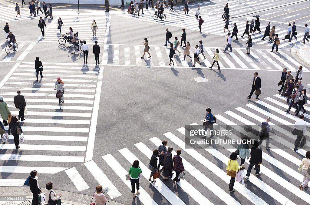 Ginza pedestrian crossing in Tokyo