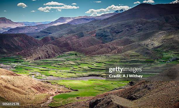 high atlas landscape - high atlas morocco stock pictures, royalty-free photos & images