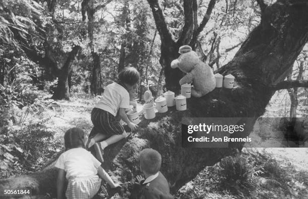 Winnie-the-Pooh party given for 12 yr. Old boy.