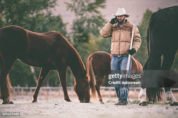 man talks on cell phone while working in horse pasture - montana western usa stockfoto's en -beelden