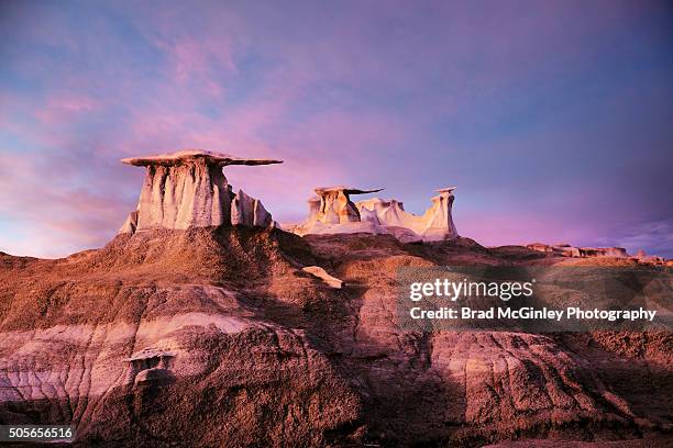 wings over bisti - nouveau mexique photos et images de collection