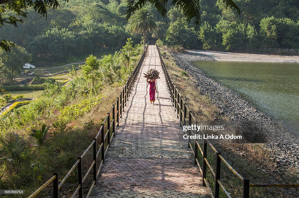 Woman in Pink Sari carrying crops on head