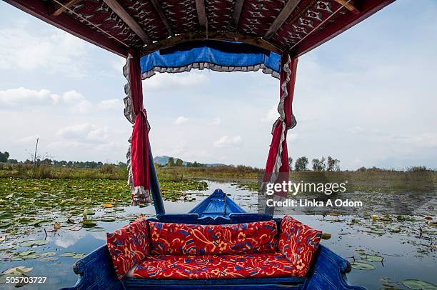 dal lake framed by a kashmiri shakira boat - dal lake stock pictures, royalty-free photos & images