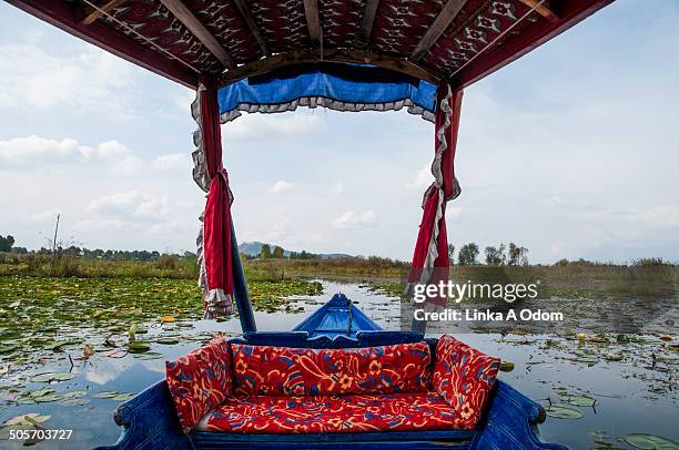dal lake framed by a kashmiri shakira boat - dal lake 個照片及圖片檔