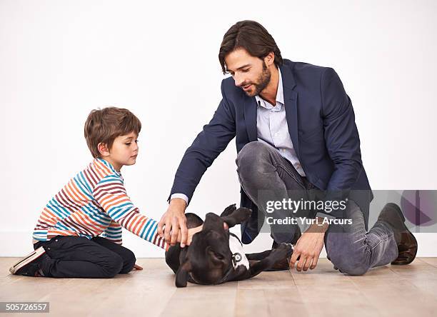 teaching his son respect for animals - kneeling stock pictures, royalty-free photos & images