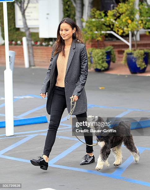 Jamie Chung is seen on January 19, 2016 in Los Angeles, California.