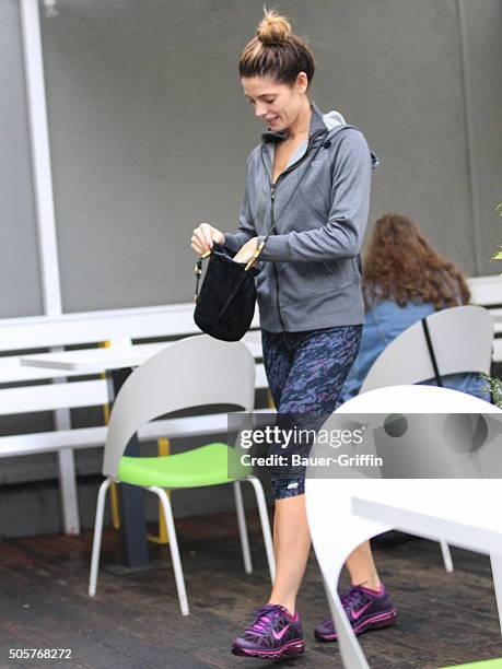 Ashley Greene is seen on January 19, 2016 in Los Angeles, California.