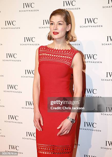 Rosamund Pike attends the IWC "Come Fly with us" Gala Dinner during the launch of the Pilot's Watches Novelties from the Swiss luxury watch...