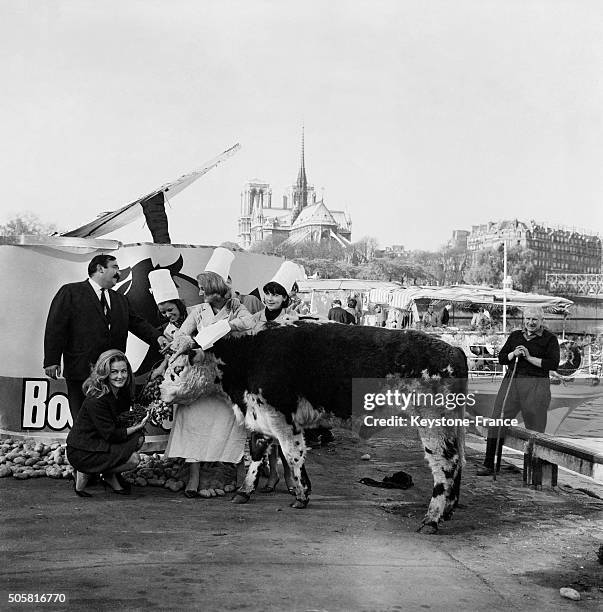 Daube Party For The Launching Of The Operation 'Boeuf En Daube' Advertisment Campaign With Musician Moustache And Actress Elga Andersen, in Paris,...