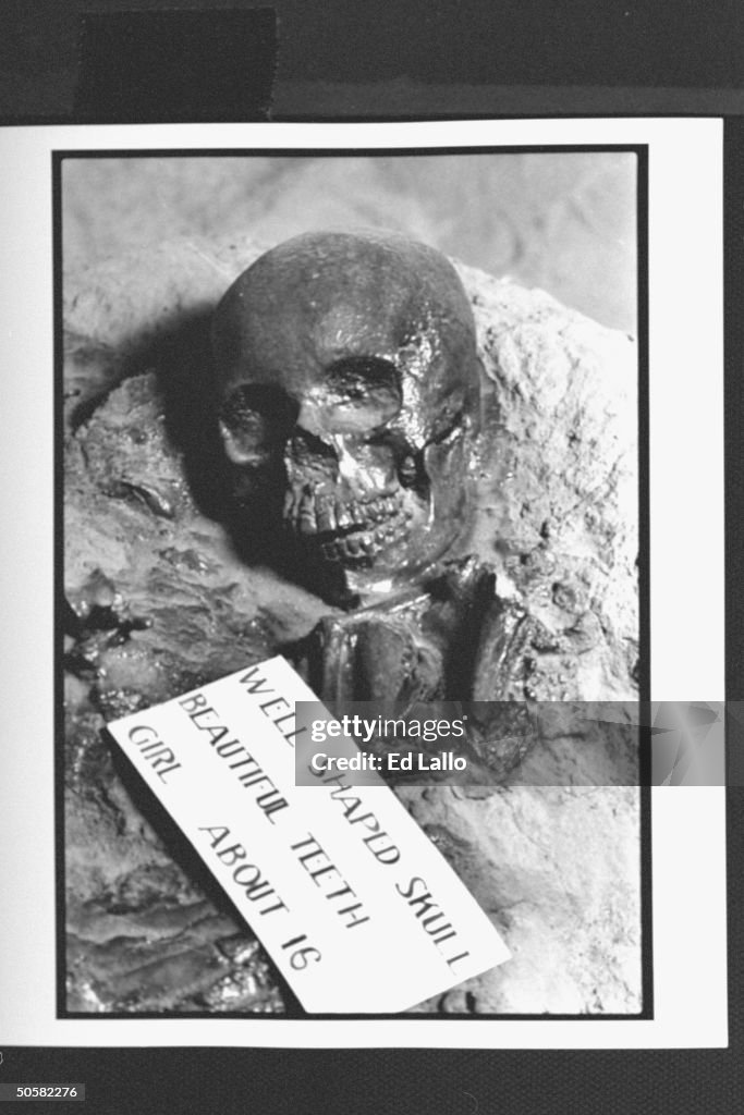 Close-up of ancient Indian skull at Sali