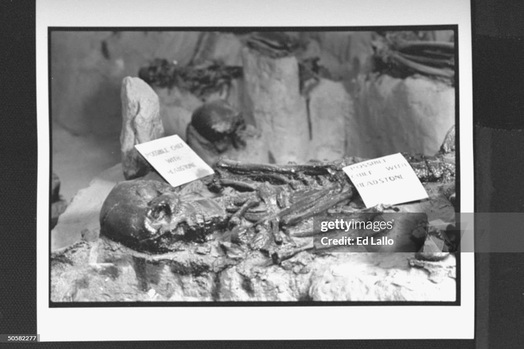 Closeup of ancient Indian skeleton at Sa