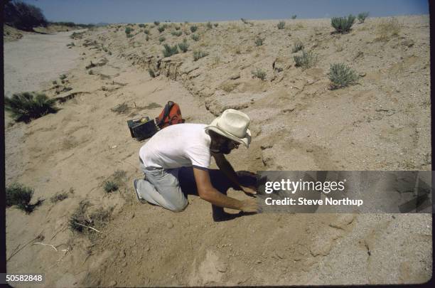 Archaeologist Rick Martynec working at Hohokam dig site.