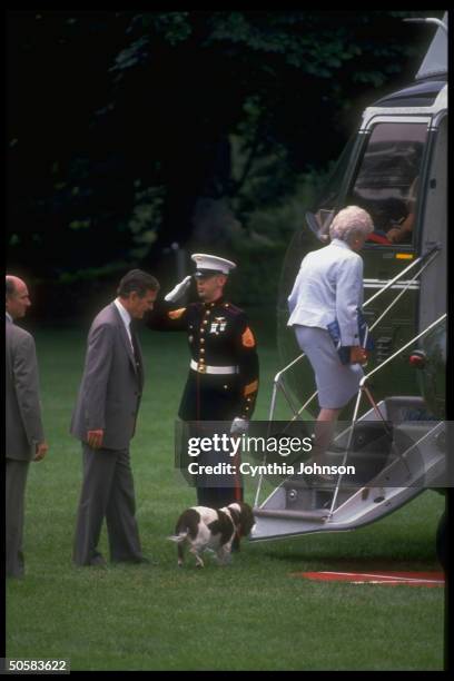 Pres. & Barbara Bush boarding Marine One copter w. 1st dog Millie in tow, taking salute fr. Honor guard type, leaving WH for Camp David sojourn.