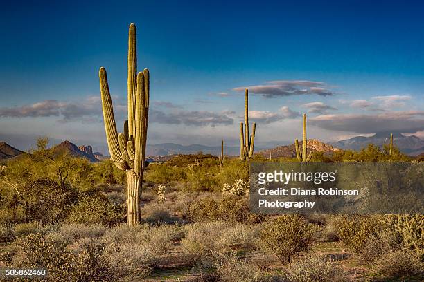 sunset at the superstition mountains, arizona - phoenix arizona stock-fotos und bilder
